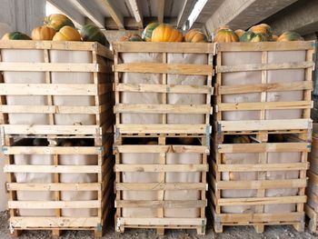 Egyptina Fresh Pumpkin - Albasmala Global Trade - Egypt