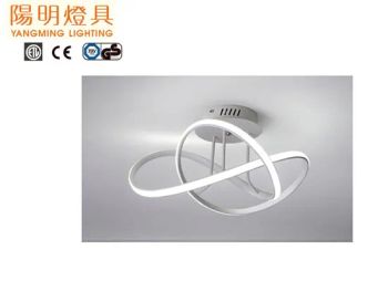 New LED Strip Ceiling Mounted Light 40W Warm Light Shape Round Beam Angle 60° Style European HS Code 940510 Folded - Yangming Electrical Co., Ltd - China