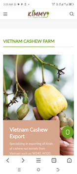 Cashew Kernel from Many goods global enterprises Cashew Kernel - Many goods global enterprises - Nigeria