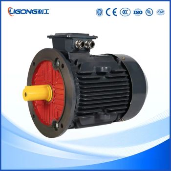 Low Noise Three-Phase Induction AC Industrial Motors for Factory Workshop - Zhejiang Ligong Motor Co., Ltd. - China