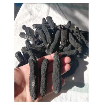 No Salt Cleaned Fresh Nutritious NATURE Original Seafood Freezing Dried Premium Sandfish Sea Cucumber - ventures - Canada