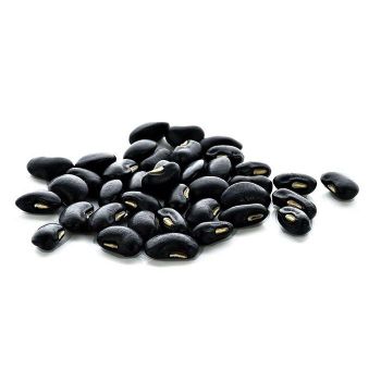 Hot Sale Organic Fresh Black Kidney Beans 25kg-Speckled Kidney Beans - TRADECENTRIC LLC - United States