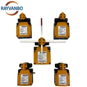 Cross Limit Switch Factory Price Rotary Switch Slewing Cranes Height Limiter - Wuhan Rayvanbo Import And Export Trade Co., Ltd. - China