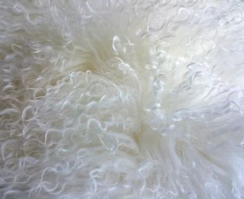Unique Tibetan Skin Fabric Cushion - Zhengzhou Zhuowen Import and Export Trading Co., Ltd. - China