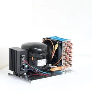 Bd55hc 12V24V with Control Panel Compressor Units Condensing Units for Max 400liters Solar Refrigerator Freezer Fridge DC Compressor for Portable Refrigerator - Hangzhou Purswave Technology Co., Ltd. - China
