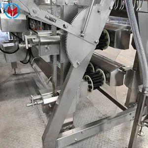 Advanced Chicken Slaughtering Equipment for Efficient Processing Solutions - Zhucheng Haoze Machinery Co., Ltd - China
