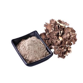 Hongda Dried Maitake Mushroom Price Powder Maitake Mushroom Style Dried Type Maitake Weight (kg) 1 Drying Process AD Shelf Life - Shaanxi Hongda Phytochemistry Co., Ltd. - China