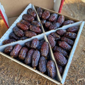Premium Organic Sweet 100% Natural Dried Dates No Chemical Preservatives Vacuum Pack Competitive Factory Price - CPW TRADE LTD - United Kingdom