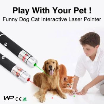 OEM Wupro Laser Pointer 101 Powerful Pointer Pen Laser for Power Pointer Pet Toys - Wupro Import&Export Co., Ltd. - China