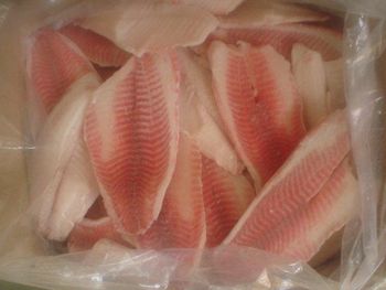 IQF Frozen Tilapia Fillet-Premium Quality - 龙海市格林水产有限公司 - China