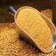 Animal Feed, Corn/maize Grain, Soymeal Fish Meal - Smart Agri GmbH - Germany