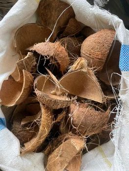 Coconut shell Features No Preservatives - PT RAGIL CENTRAL GLOBALINDO - Indonesia