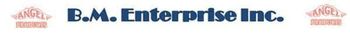 B M ENTERPRISES