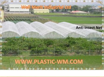 Agricultural Mosquito Anti- Insect Net Insect Protection Net Color White Material PE Trademark WM Origin China Length 10m-100m - WELL MERIT INDUSTRIAL ENTERPRISE LIMITED - China