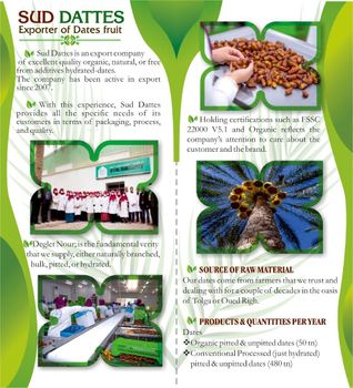 Pitted Deglet Nour Dates grade B - SARL SUD DATTES - Algeria
