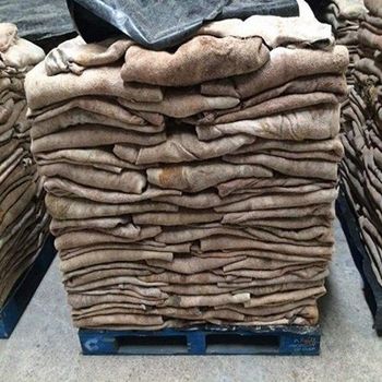 Donkey Hides, High Quality Bulk, Cheap Wholesale Pricing Type Donkey Hide Supply Type Bulk Pricing Affordable Form Dried / Salted - A.C.P. AGRICULTURE COMPANY LIMITED - Thailand