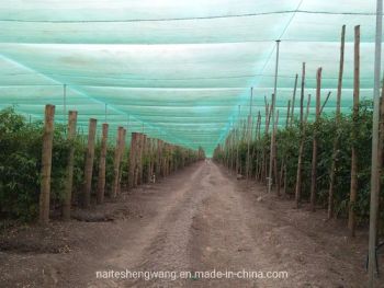 75% High Quality and Affordable Green Color Shade Nets with UV - Huimin County Naite Rope Net Co., Ltd. - China
