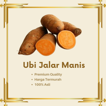 Fresh Sweet Potato Cilembu Honey - Premium Export Quality from North Sumatra - PT Siberna Agri Spice - Indonesia