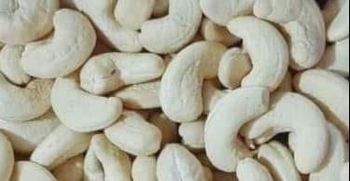 Organic Cashew Nuts - Newport Beach Company Inc. - United States