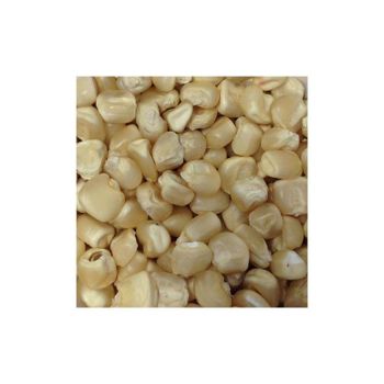 White corn wholesale deals for importers and grain suppliers - HIGHPROFILE AGRICULTURE SERVICES LIMITED - Tanzania
