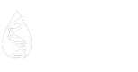 Product - BIO MEDICAL RESEARCH LABORATORIES LLC - Global