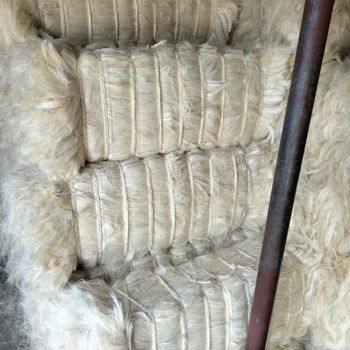 Natural Raw Sisal Fiber/UG Sisal Fibre/Bleached Sisal Fiber Anti-Uv Non-Woven Fabric for Gypsum Worldwide Delivery - AGRONOVA - United States