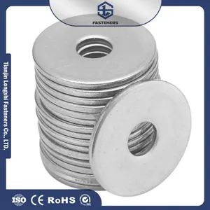 Factory Hot Sale High Quality Galvanized Steel Flat Washers Stainless Steel Washers - Tianjin Longshi Fasteners Co., Ltd. - China