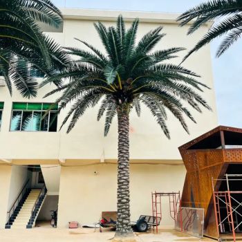 Large Artificial Trees Commercial Artificial Trees Washingtonia Plastic Artificial Palm Trees - Shenzhen Fayfun Crafts Co., Ltd. - China