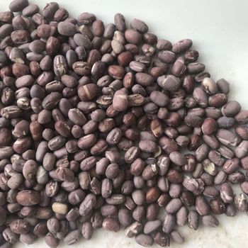 Natural Harvest Red beans For Wholesale Export With Careful Cleaning Bulk Packaging And High Demand Red beans - AGRO AFRIQUE COMPANY LIMITED - Tanzania