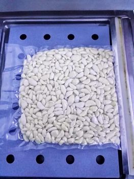 fresh& frozen  garlic - frozex group company - Egypt