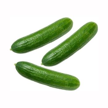 Wholesales Fresh Green Cucumber Best Price - Mundus Exports Pty Ltd - South Africa