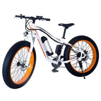 36V 350W Wide Tire Electric Bike Mountain Bicycle Fast Electric Motor Bike - Shenzhen Gravity Technology Co., Ltd. - China