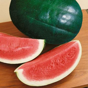 Top Choice Fresh Watermelon Sourced From Trusted Growers With Clean Handling Methods - malter group - Tanzania