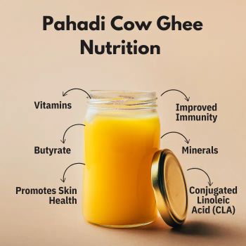 Organic Ghee/Natural Ghee/Cow Ghee - Instant Global Exports - India