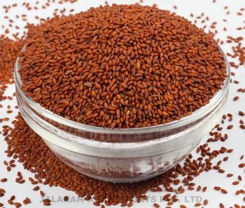 Garden Cress Seeds – India Origin | 99.5% Purity | Non-GMO Hs Code 120799 Form Whole Seeds Moisture Max 10% Purity Minimum - Sinhal Herbs  - India