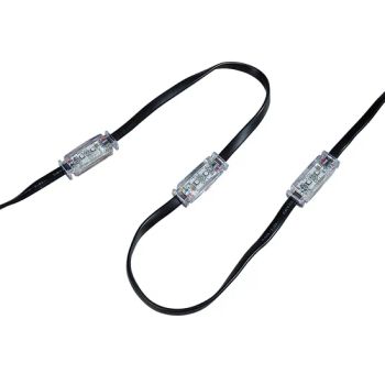 Garden LED Light Waterproof Outdoor Lights for Christmas Wedding Lights - Dongguan Rainmin Intelligent Technology Limited - China