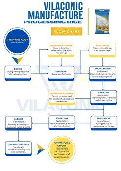 Rice Other Products Tapioca Starch, Desiccated Coconut, Clove, Fish Cashew Types Ww180, Ww210, Ww240, Ww320, Ww450, Ws, Lp, Sp, - Vilaconic Group - Vietnam