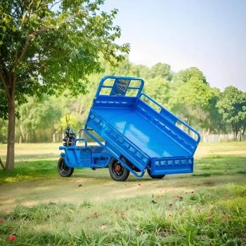 Passenger and Cargo Three Wheeler Trike Electric Tricycle with Folding Seat - Bolin International Trade Co.,Ltd - China