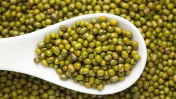 Green Moong whole – product photo, Whole Moong Beans products found from trusted suppliers, wholesalers, manufacturers & exporters Listing