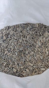 Pulses Zinc 5.5 Mg Iron 4.85 Mg Sodium 0.004 G Calcium 96.8 Mg Magnesium 337.8 Mg Ash 3.41 % +- 0.26 Vitamin B1 862.5 Μg - Ketumba limited  - Kenya