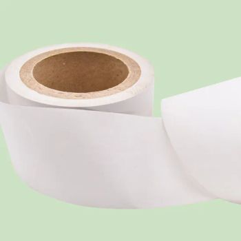 Factory-Customized Wholesale Food-Grade Mg Kraft Paper White Rolls for Sandwich Packaging - Qingdao Evershine Group Co., Ltd. - China