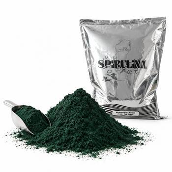 Spirulina Powder (Food-Grade) - Algaebank (Algae Bioresource Development of Fars Co.) - Iran