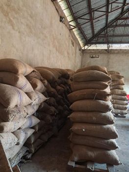Cocoa Beans – product photo, Fermented Cocoa Beans products found from trusted suppliers, wholesalers, manufacturers & exporters Listing