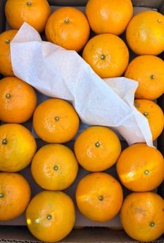 Fresh oranges Size Availability All Size Available - CRA traders karachi - Pakistan