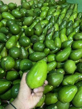 Premium Avocado - Grade A - Origin from Indonesia - High Quality - Carefully Selected and Sorted - PT INDORI FLASH COMMODITY - Indonesia