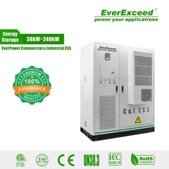 Industrial Energy Storage System Industrial & Commercial Energy Storage Bess Solar Battery Energy Storage System - Shenzhen Everexceed Industrial Co., Ltd. - China