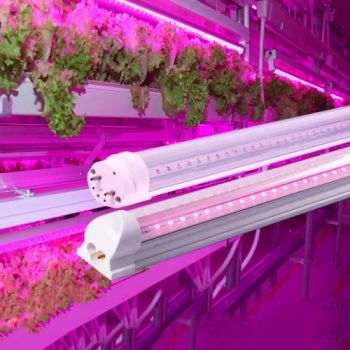 T5 T8 LED Grow Light Tubes - Red & Blue Spectrum Lamp Shape PAR Life 50000h LED Chips Other Model NO. T10456 Trademark - Yiwu GALAXY Lights Co., Ltd. - China