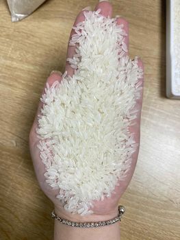 Vietnamese Jasmine Rice - Tien Giang Rice - Vietnam