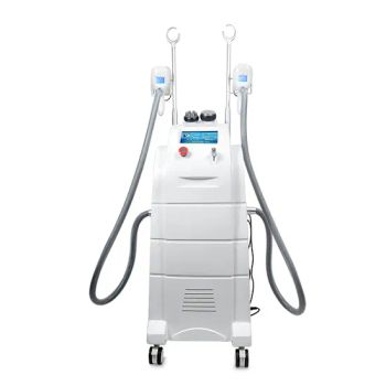 Button Screen Vertical Cryolipolysis Fat Loss Body Shaping Machine - Guangzhou RenLang electronic technology Co., LTD - China