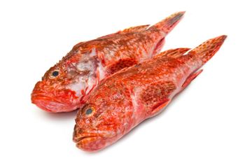FRESH FISH Sourcing Method Responsible And Sustainable Freshness Guarantee Guaranteed From Ocean To Table Logistics Approach Cold Chain Storage And Fast - LOUKA PESCADOS - Morocco